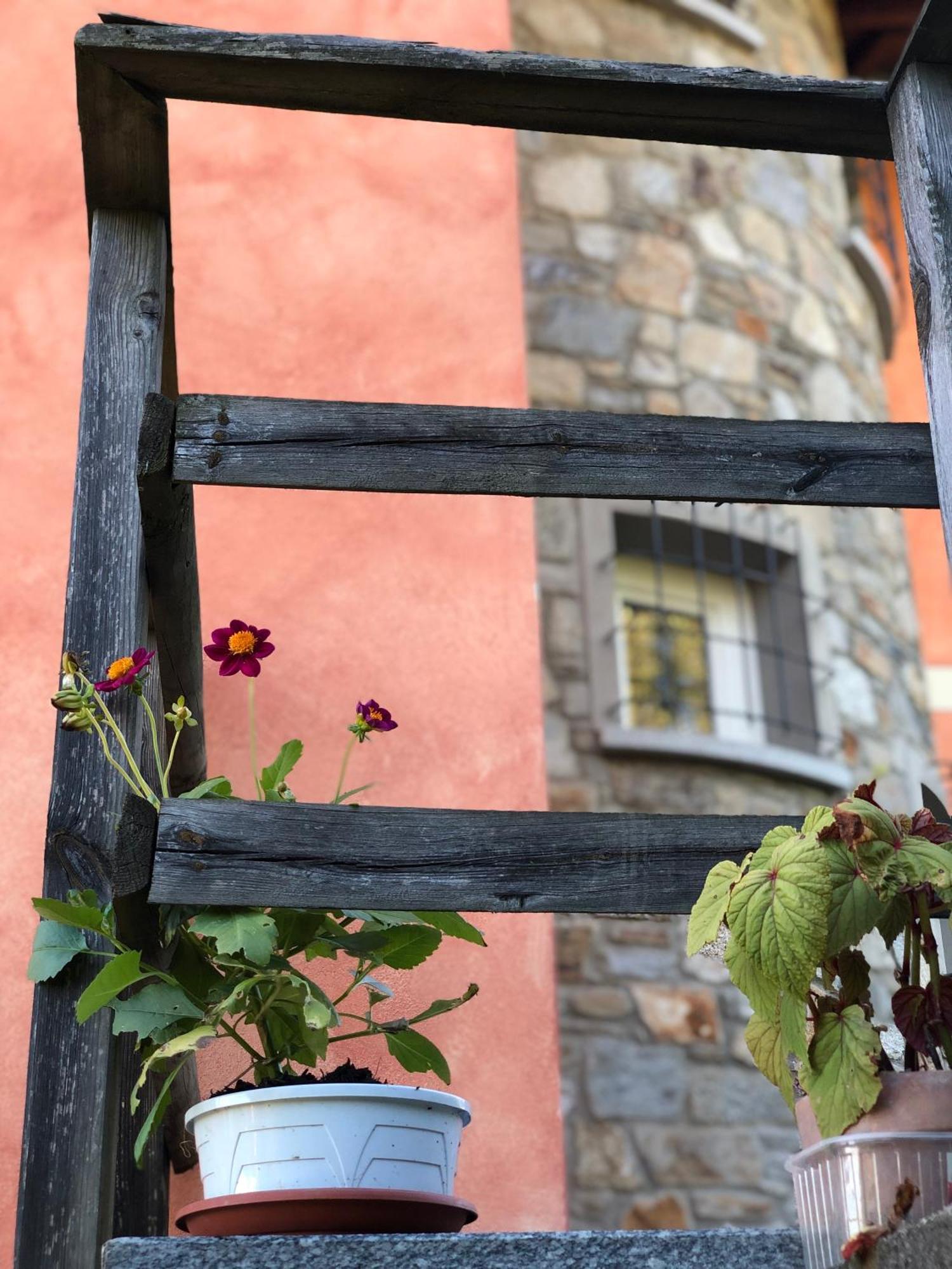 Casa Ilaria Hotel Armeno ภายนอก รูปภาพ